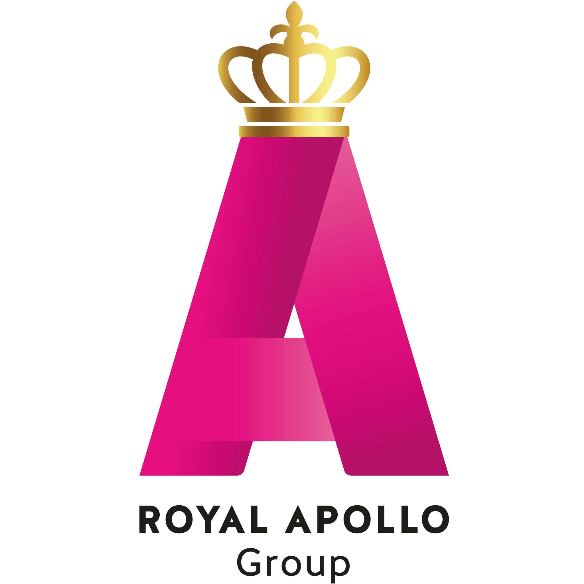 斗式提升机 - Royal Apollo Group